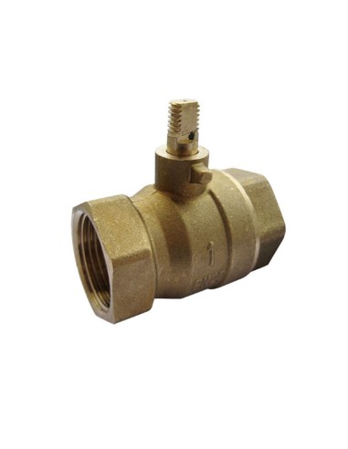 SHOWER ACCESSORY, 1 brass valve, all models