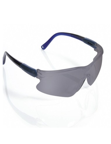 PHOEBE, universal dark antifog eye protection glasses, 1F